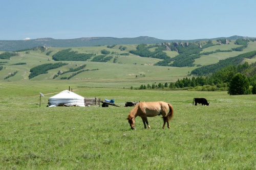 Sielanka #mongolia