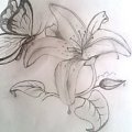 #rysunek #lilia #kwiat #szkic