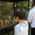 Efez - Domek Św Matki Maryji