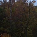 Jesień w Czarnkowie - 30.10.2009