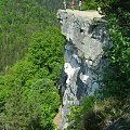 Ale widok