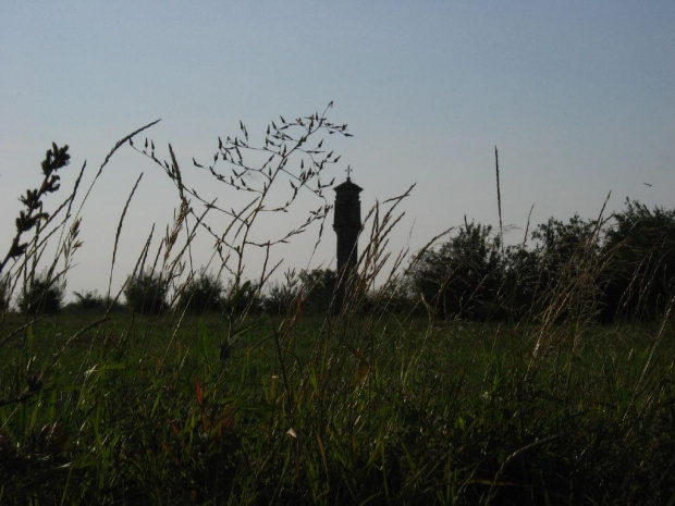 Kapliczka na polach koło Sandomierza