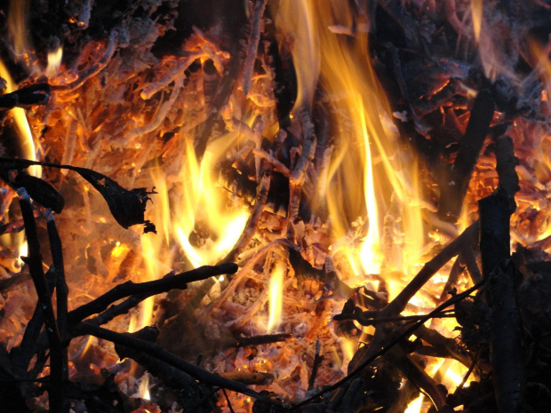 #ogień #płomień #żar