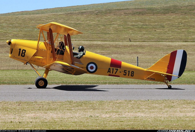 Tiger Moth