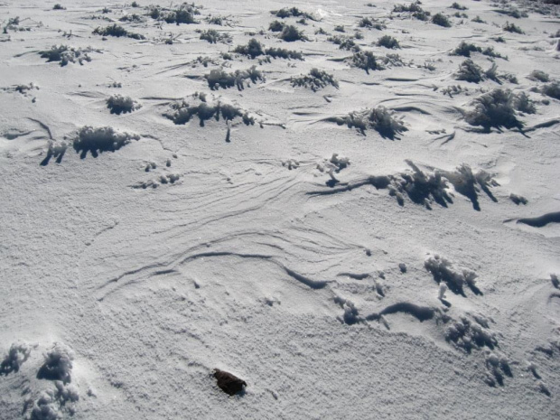 Zima na Śnieżniku