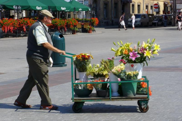 migawki z życia miasta