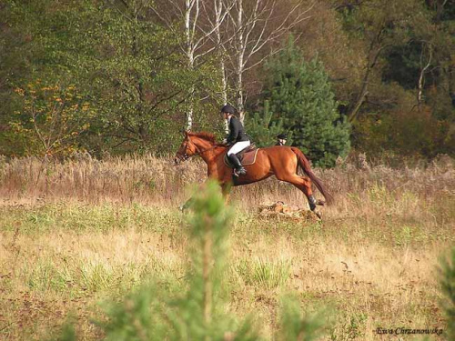 2008.10.18 Hubertus I