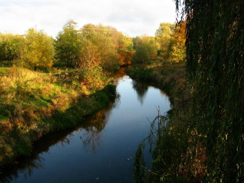Park w Jaworze jesienią_Nysa Szalona #Jawor #przyroda #krajobraz #park #rzeka #jesień