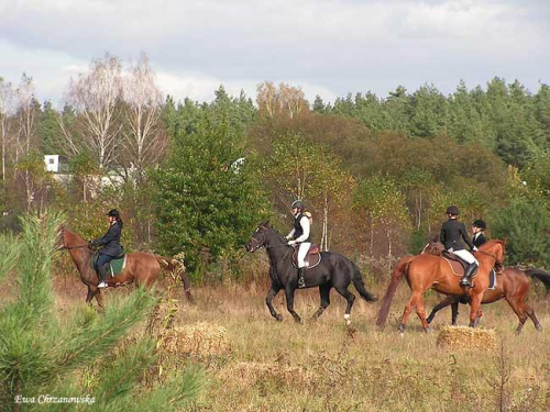 2008.10.18 Hubertus I