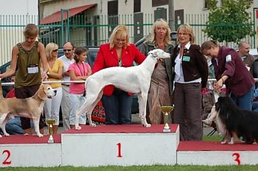 #stellanova #handling #ChartPolski