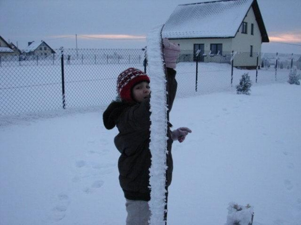 Ale mamy zimę tej zimy ... Biedne drzewko ... (17.01.2010)