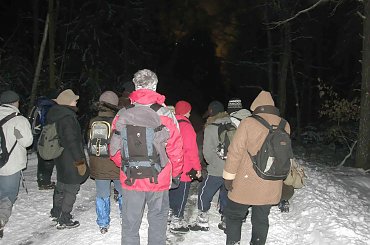 #Wędrownik #BoryTucholskie