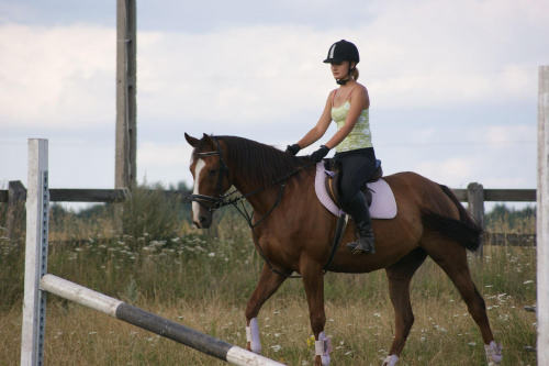 #koń #konie #wakacje #jeździectwo #słońce #sport