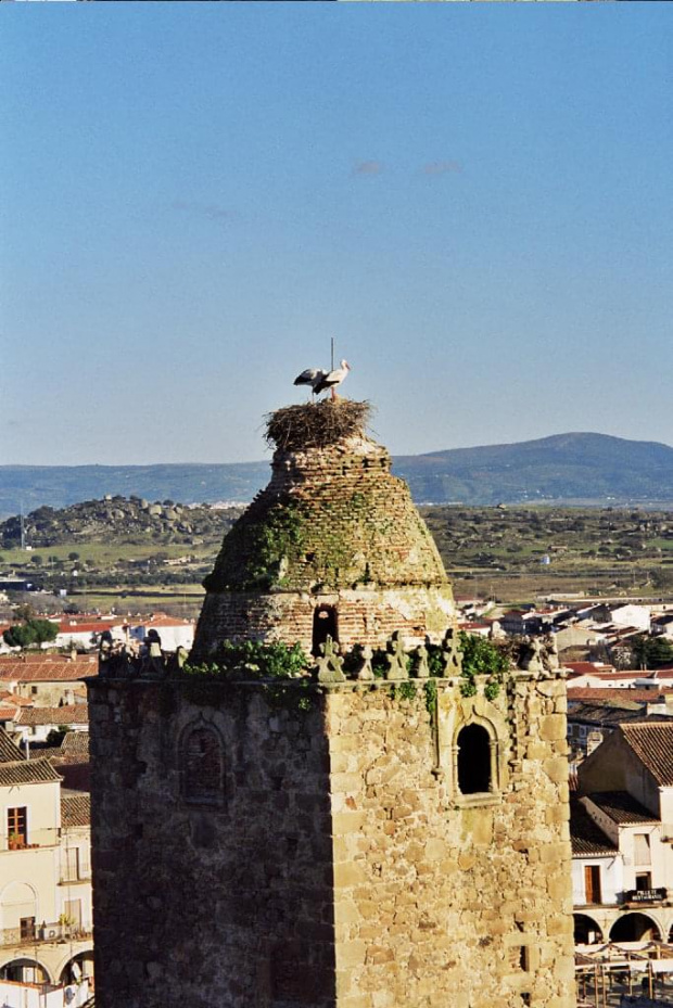 Trujillo