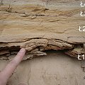 Pierwsza warstwa jasnobrunatnych, cienkowarstwowanych mułowców leżących zgodnie na podstawie piasków. Miążność ok. 2 cm. Nad mułowcami leży zgodnie seria cienkowarstwowanych rdzawozółtych mułowców miąższności 8,5-9 cm. #Smoszewo
