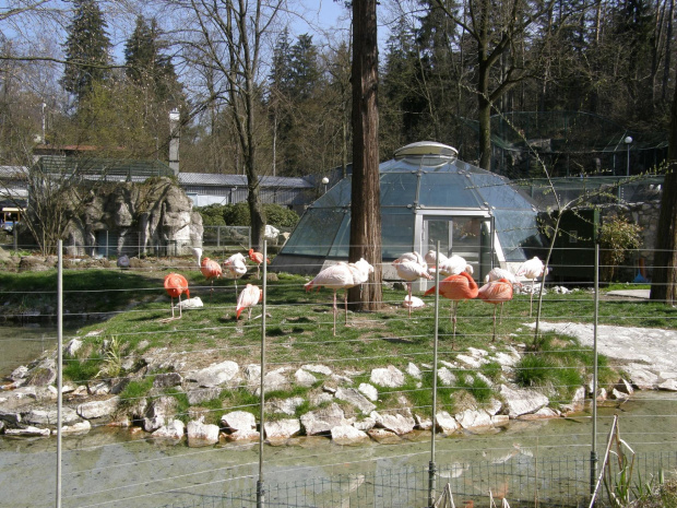 ogród zoologiczny w Libercu #zoo #Liberec #czechy #zwierzęta