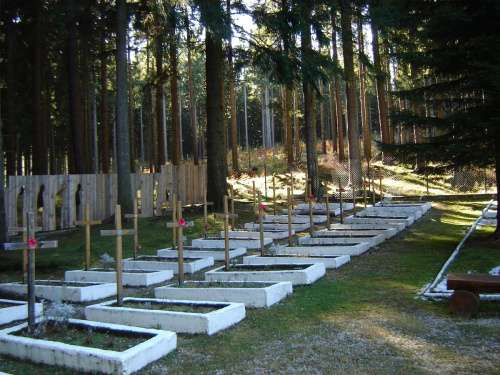 Cmentarz jeńców wojennych-Borowice (koło Cieplic)