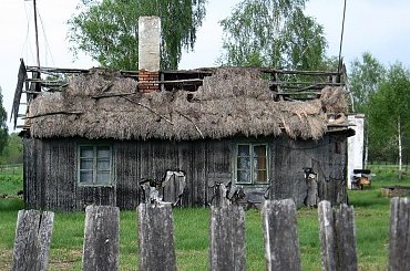 Puszcza kampinoska,chata na palach #PuszczaKampinoska #Kirsztajnów