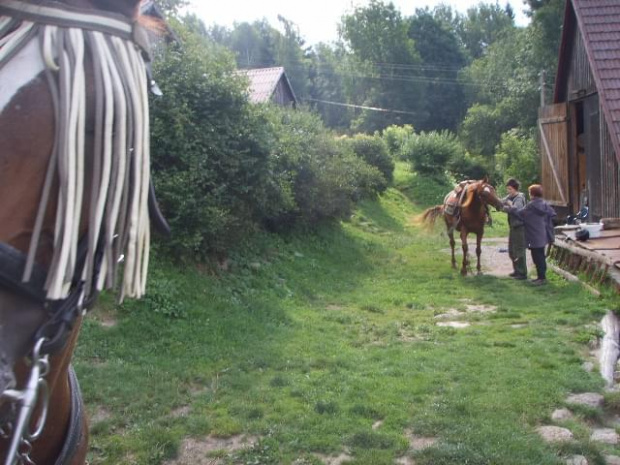 opuszając Stodołę w towarzystwie kasztanki