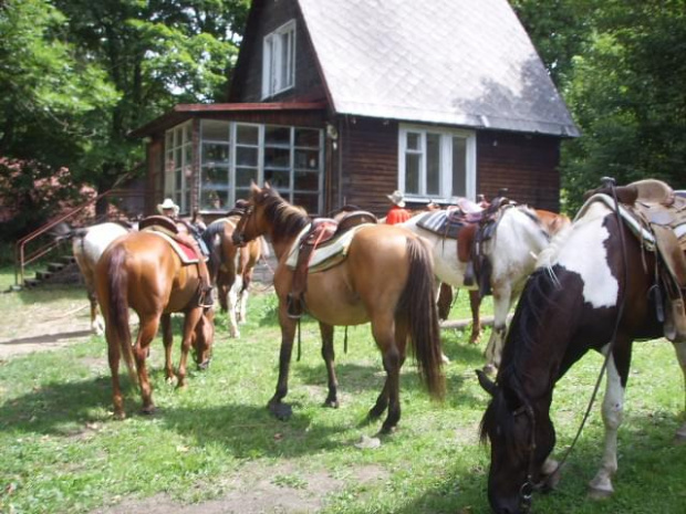 na Czeskim piwku :)