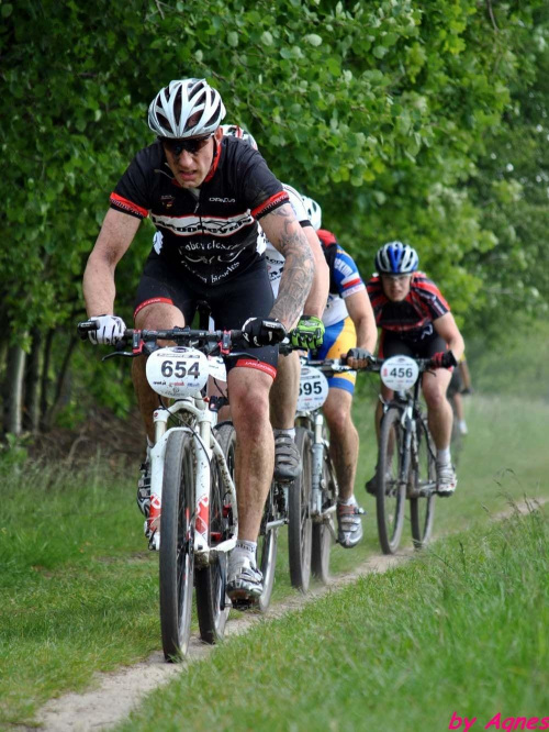 Poland Bike Maraton, Poland Bikejoring, Łuków #PolandBikeMaraton #PolandBikejoring #Łuków