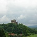 Ruiny zamku w Świnach.