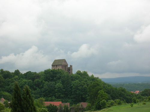 Ruiny zamku w Świnach.