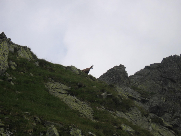 A wy tu po co? #Góry #Tatry #JagnięcySzczyt