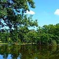 park zamkowy #ZamekRaduń