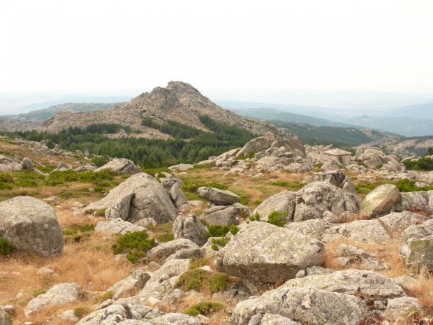 Na szczycie Monte Limbara - granitowego masywu na wys. 1359 #Sardynia