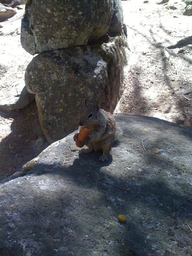 Park Yosemite