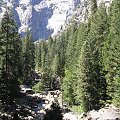 Park Yosemite