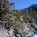 Park Yosemite