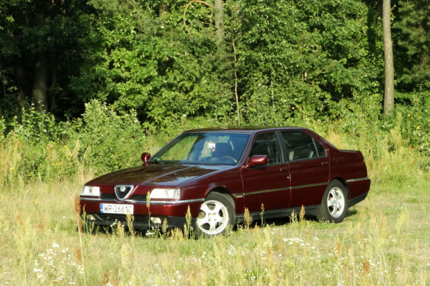 Moja Alfa 164