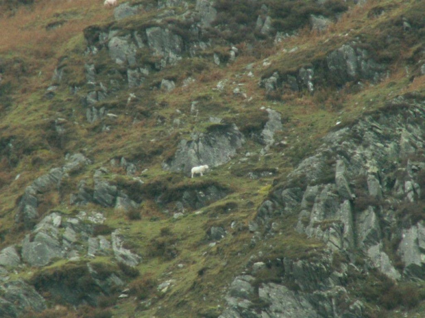 Z podróży. Walia. SNOWDONIA NATIONAL PARK #Wałbrzych