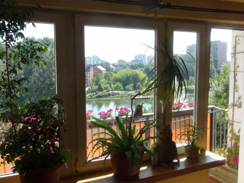 pokój widny-słoneczny jesienią-wiosną, latem przyjemny cień od balkonu
