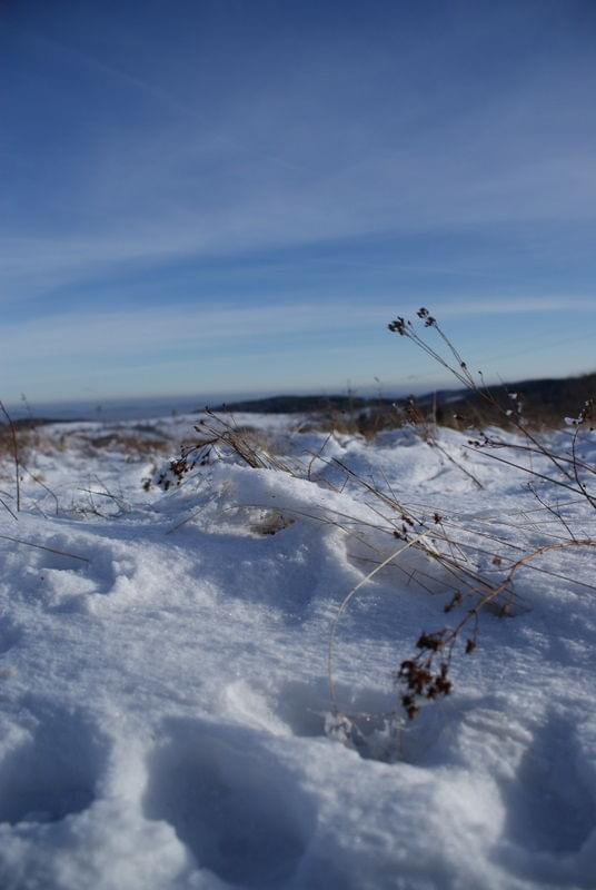 Góry Sowie 2008 #góry #zima #snieg #widoki