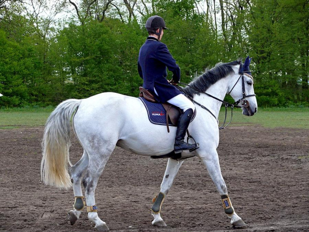 #konie #Bogusławice #jeździectwo