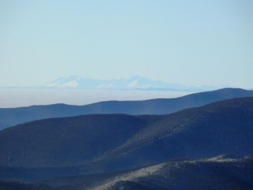 Tatry widziane z Tarnicy #góry #Bieszczady #zima #inwersja #natura