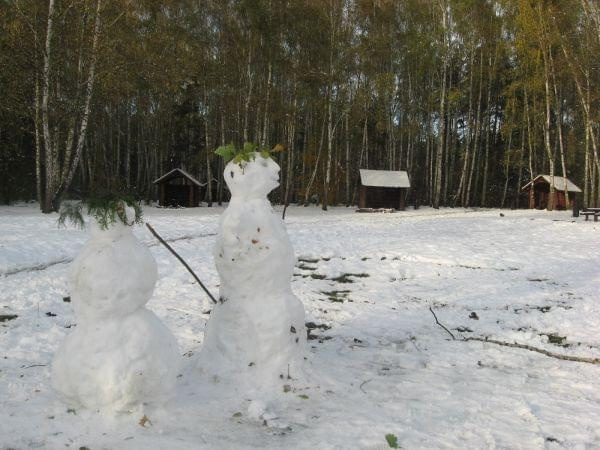 lesznowola, żabieniec