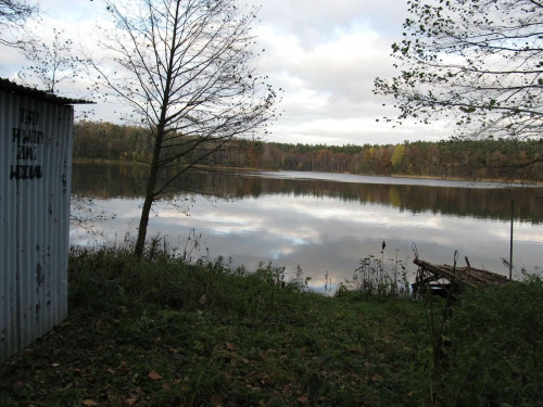 Jezioro Duży Okoń (Bergelauer Borsch See) -południowy brzeg, położone pomiędzy Zielonym Dworem a leśniczówką Czarnoszki #Człuchów #Schlochau