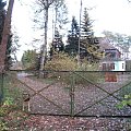 Zielony Dwór-pies przy bramie zachodniej od strony lasu #Schlochau #Człuchów