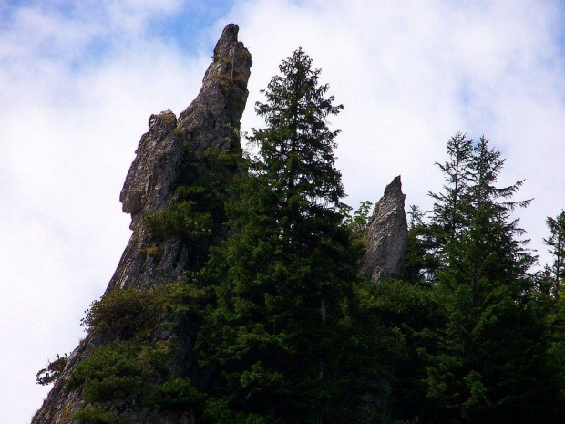 Polskie Tatry #góry