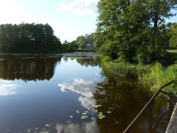 Białowieża