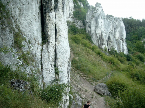 VII.2006 przepiekna Dolina Kobylanska ~ 15 km od Krakowa