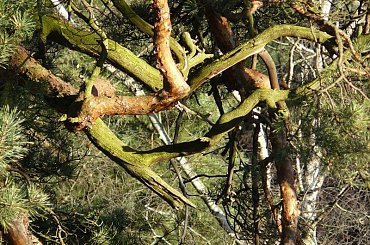 Takie wspominkowe bo za oknem szaro-buro #widok #NadMorzem