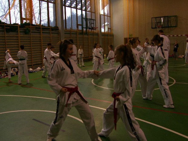 seminarium z MIstrzem Kang Cheol In 7 dan #taekwondo #tkd #walka #zawody