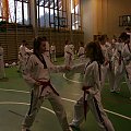 seminarium z MIstrzem Kang Cheol In 7 dan #taekwondo #tkd #walka #zawody