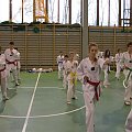 seminarium z MIstrzem Kang Cheol In 7 dan #taekwondo #tkd #walka #zawody