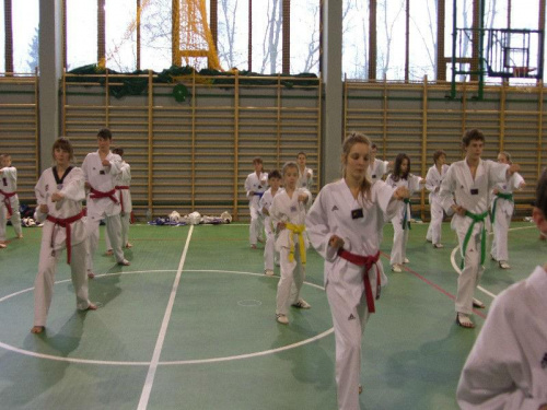 seminarium z MIstrzem Kang Cheol In 7 dan #taekwondo #tkd #walka #zawody